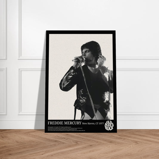 Print of Freddie Mercury performing live